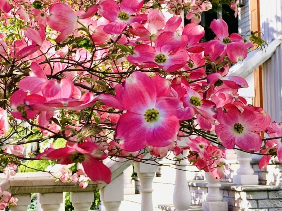 zHKy4IcCvsazZH0l4H1JGzbn9V0