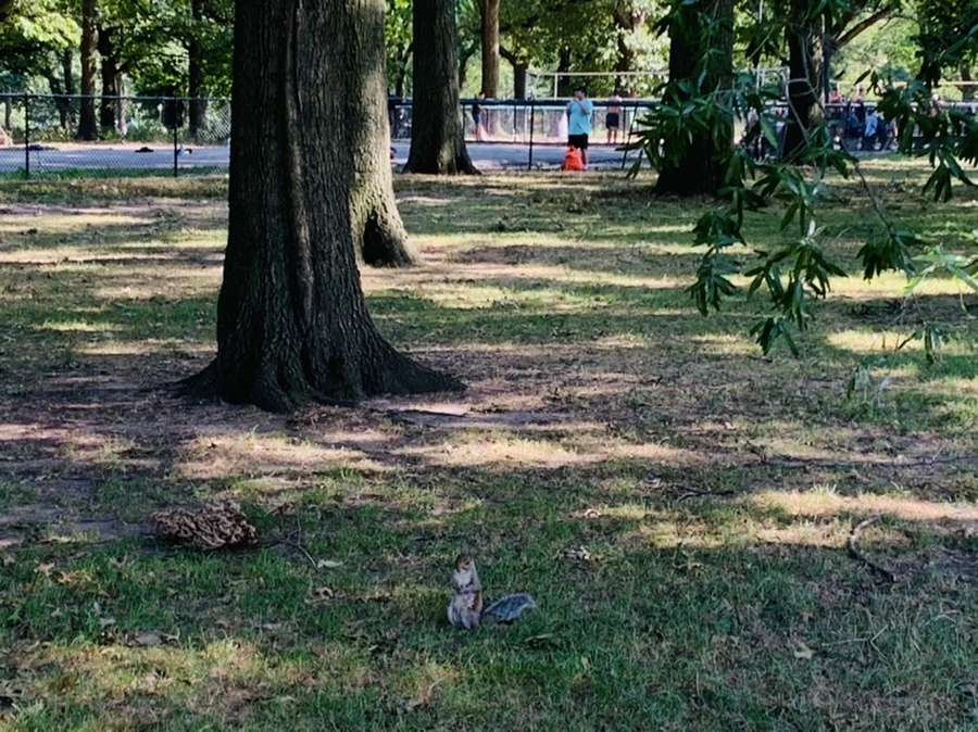 IMG_9676.jpg?type=w966