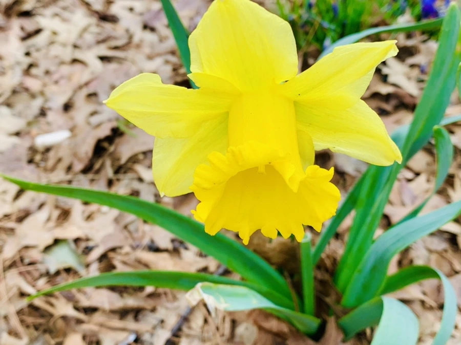 IMG_3457.jpg?type=w966