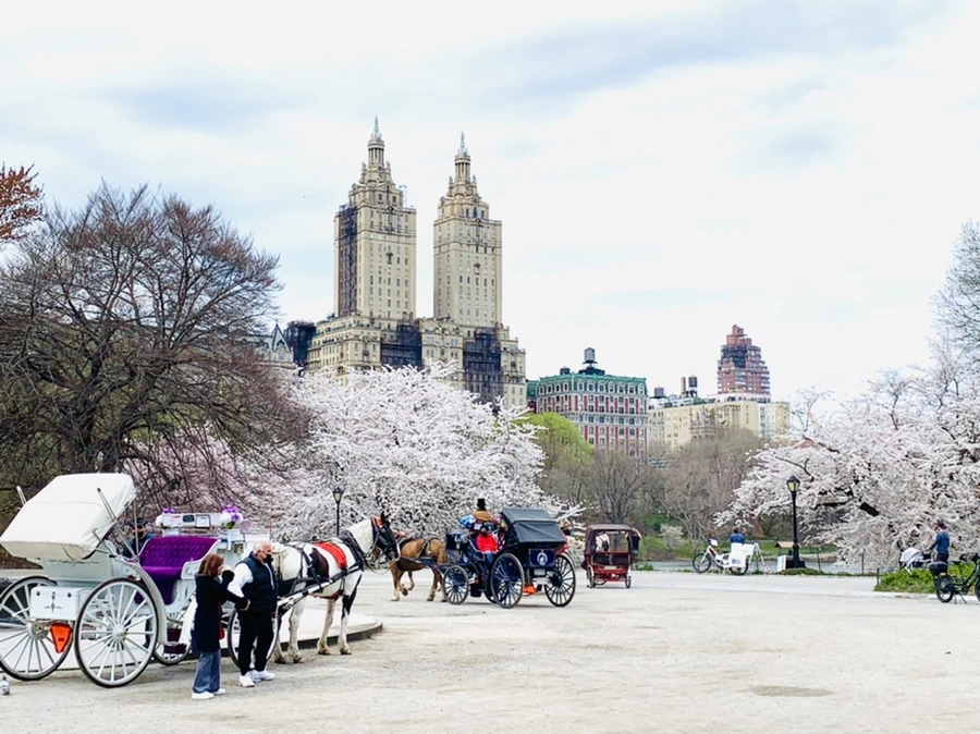 IMG_9700.jpg?type=w966