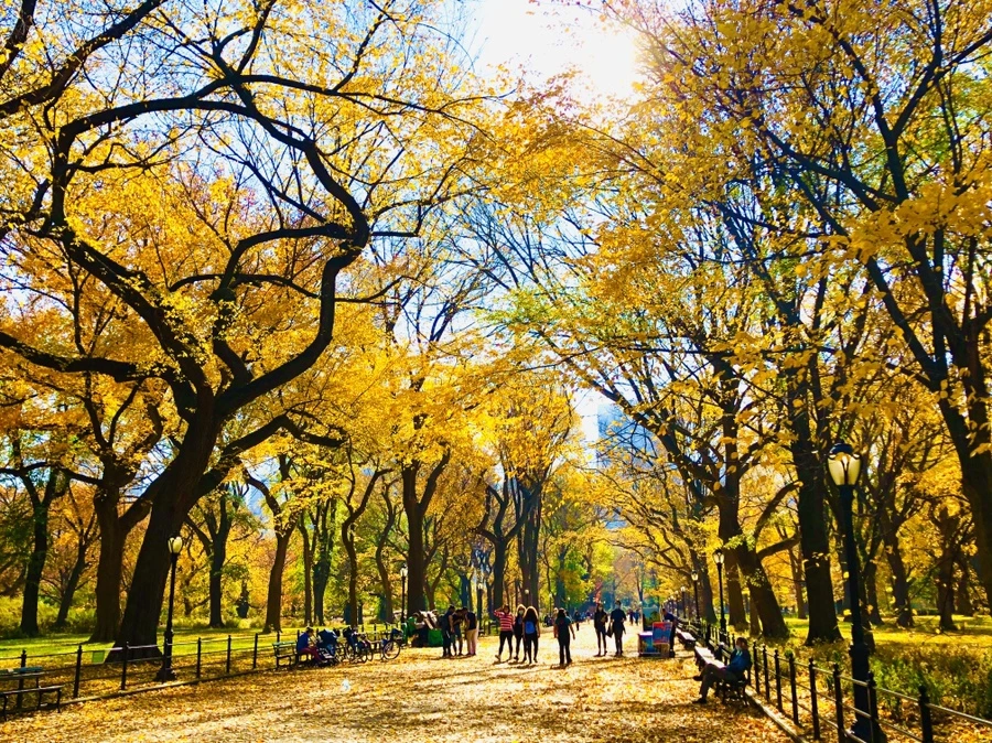 IMG_4304.jpg?type=w966