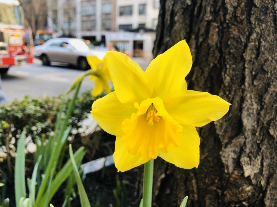 IMG_5958.jpg?type=w966