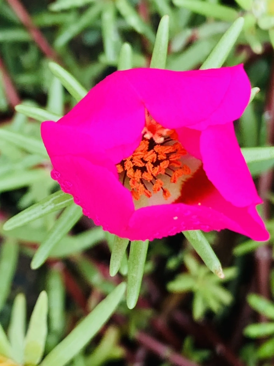 IMG_4951.jpg?type=w966