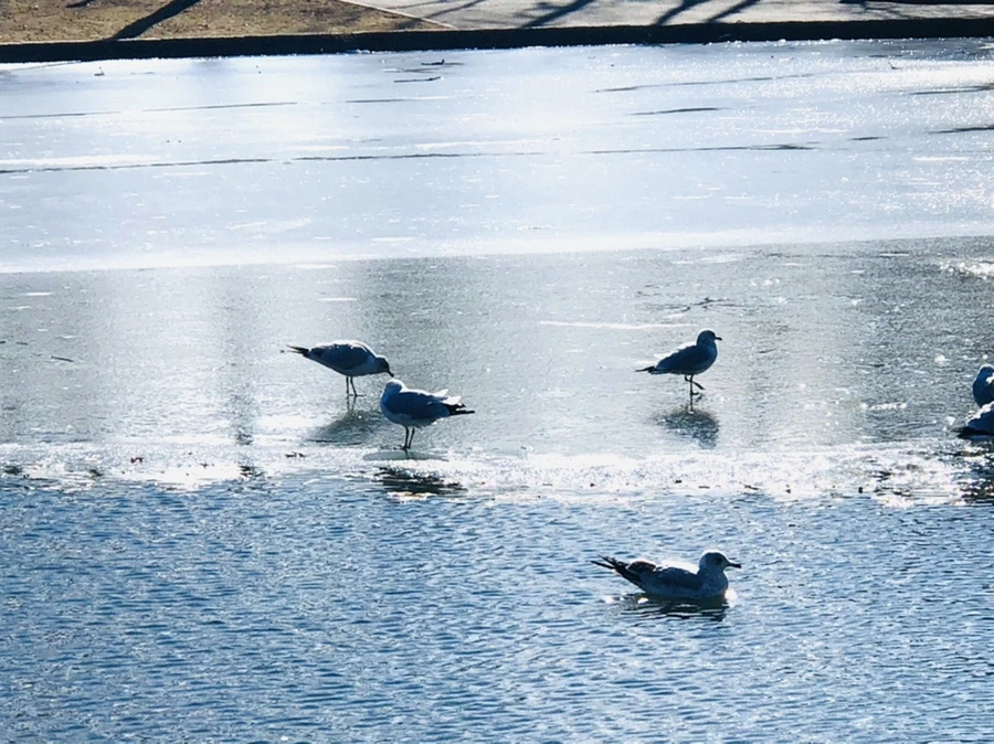 IMG_6823.jpg?type=w966