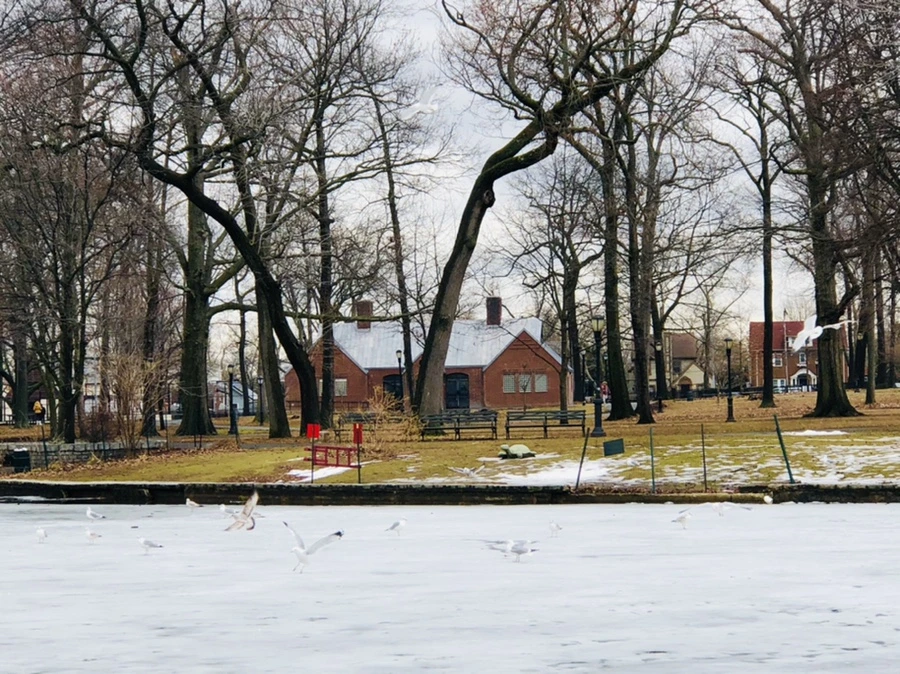 IMG_6484.jpg?type=w966