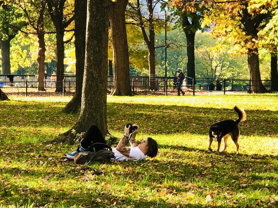 IMG_3483.jpg?type=w966