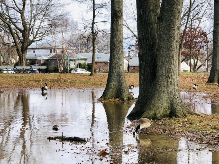 IMG_9917.jpg?type=w966