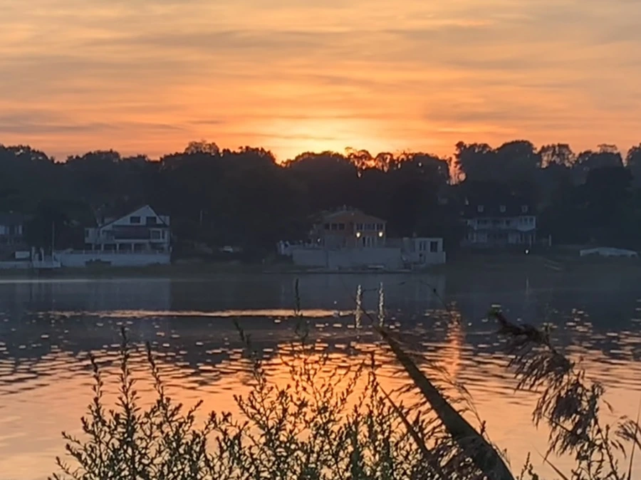 IMG_6800.jpg?type=w966