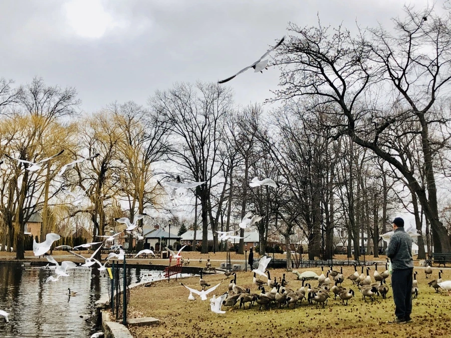 IMG_3475.jpg?type=w966