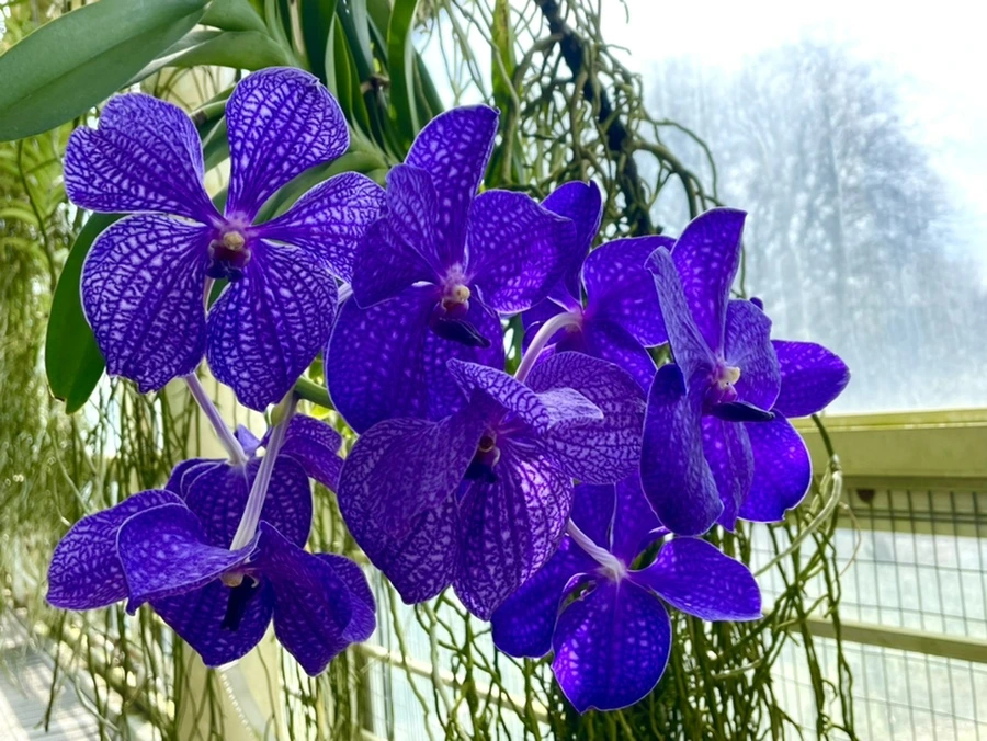 IMG_5194.jpg?type=w966