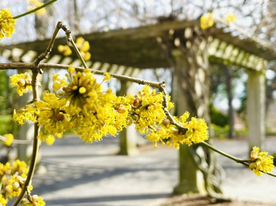 Bur507oaJmYep1kWVItWiH2RzsE