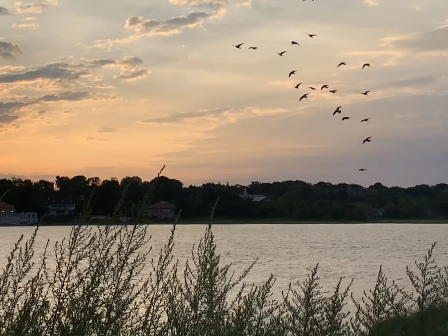 IMG_1722.jpg?type=w966