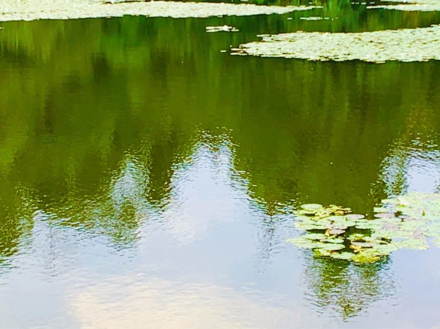 IMG_5825.jpg?type=w966