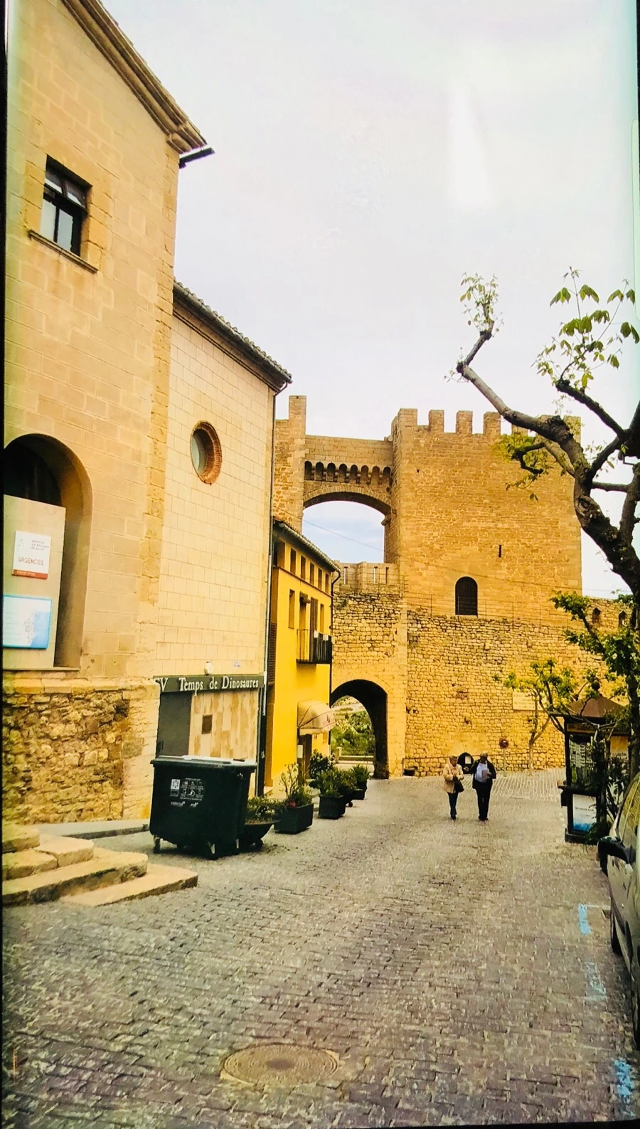 IMG_5916.jpg?type=w966