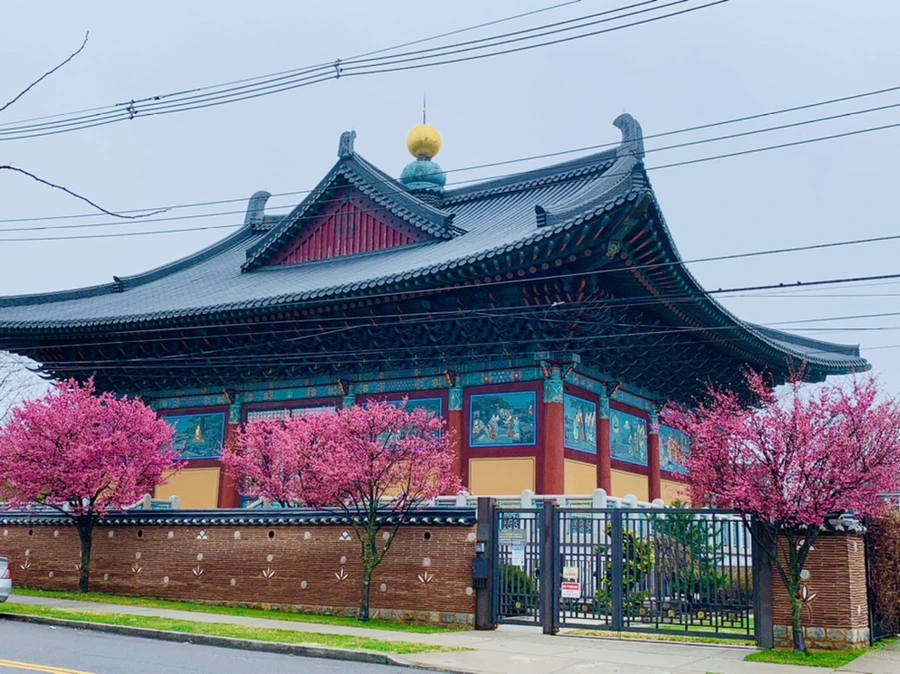 IMG_5311.jpg?type=w966