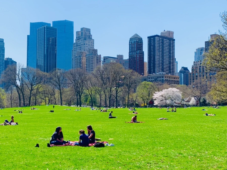 IMG_8938.jpg?type=w966