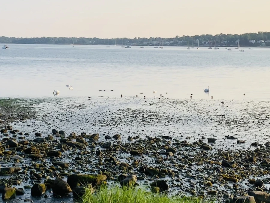 IMG_9795.jpg?type=w966