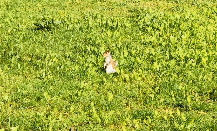 IMG_8317.jpg?type=w966