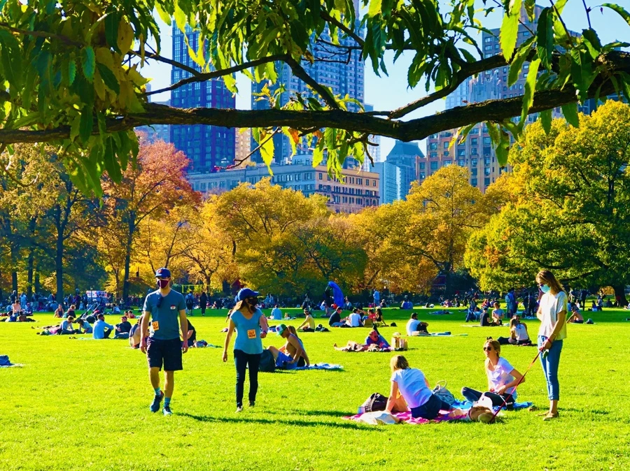 IMG_3946.jpg?type=w966