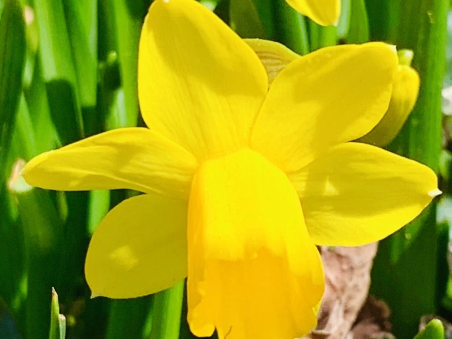 IMG_3269.jpg?type=w966