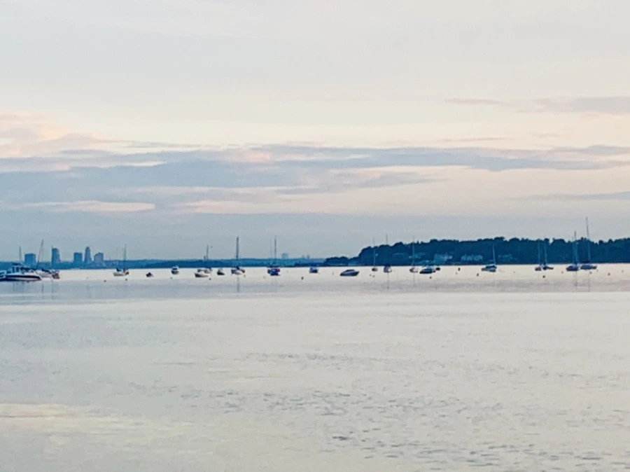 IMG_0954.jpg?type=w966