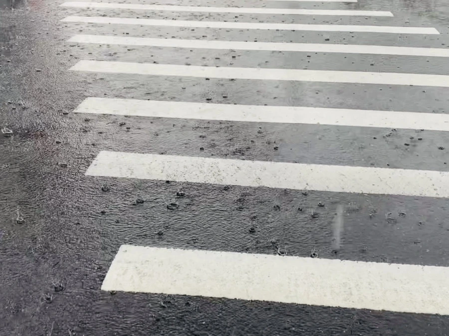 IMG_8818.jpg?type=w966