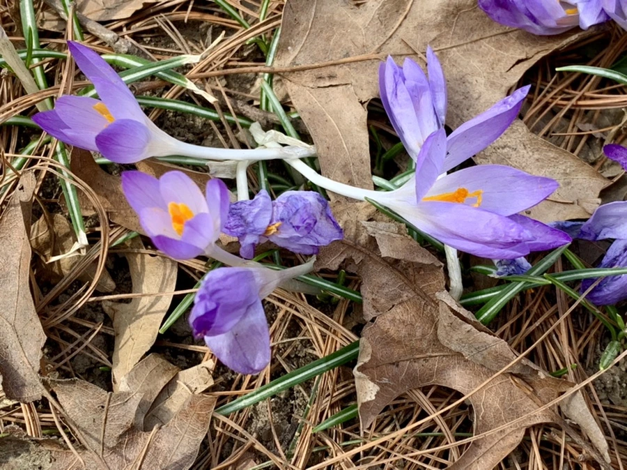 IMG_1244.jpg?type=w966