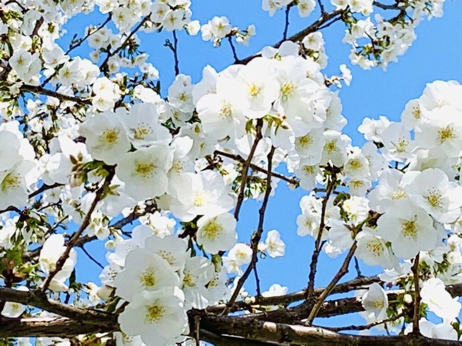 2rqEq_iNSenQDXBlNgbPaMK22SM