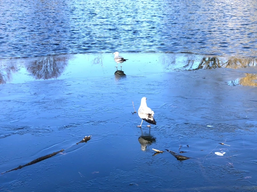 IMG_0523.jpg?type=w966