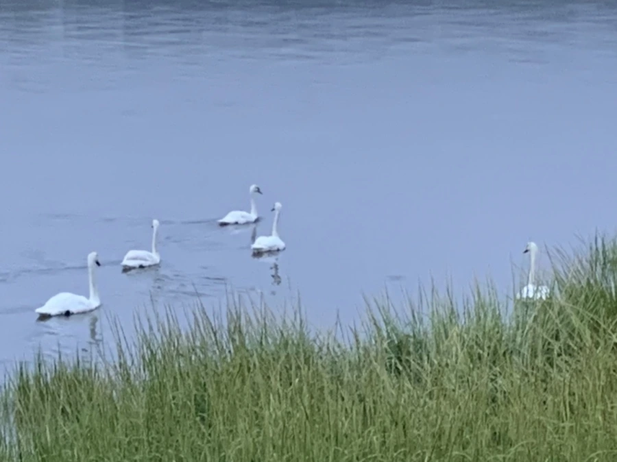 IMG_6641.jpg?type=w966