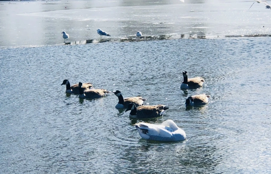 IMG_6722.jpg?type=w966