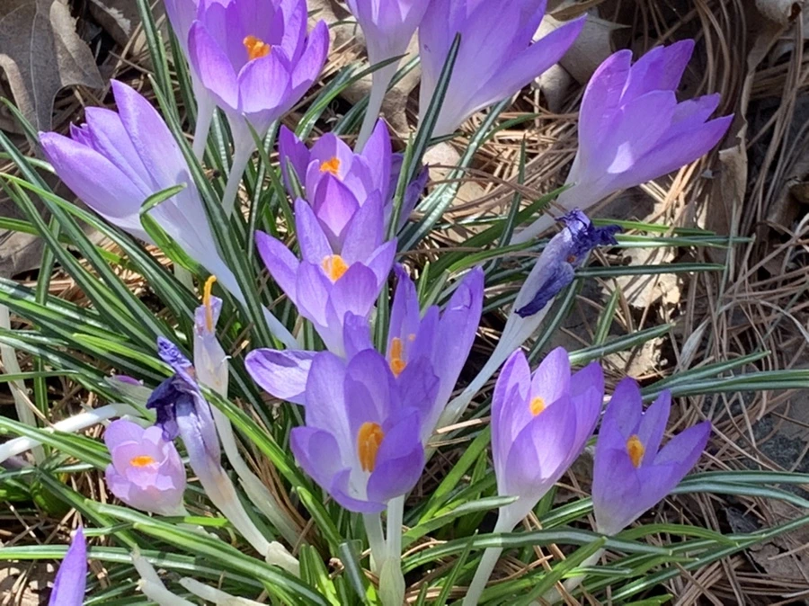 IMG_1285.jpg?type=w966