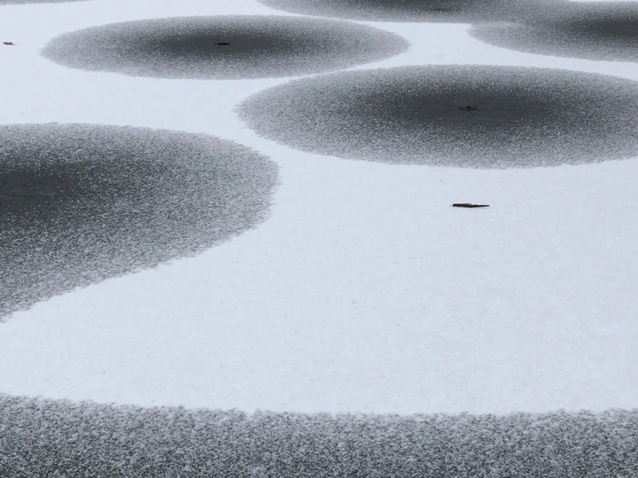 IMG_6172.jpg?type=w966