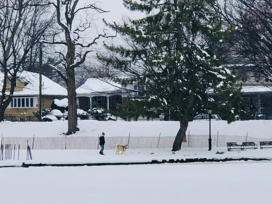 IMG_1511.jpg?type=w966