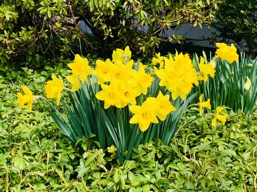 IMG_4264.jpg?type=w966