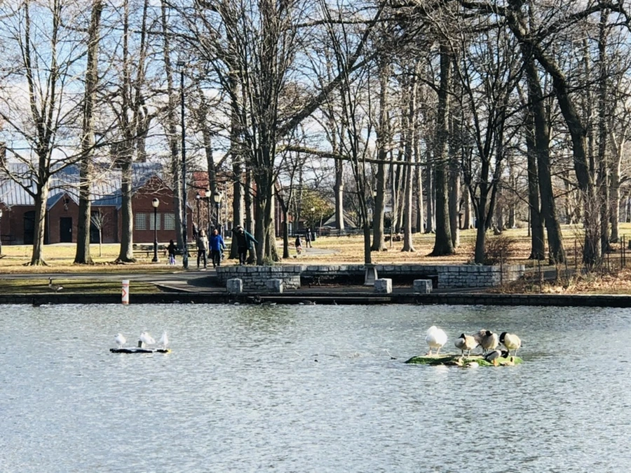 IMG_9222.jpg?type=w966