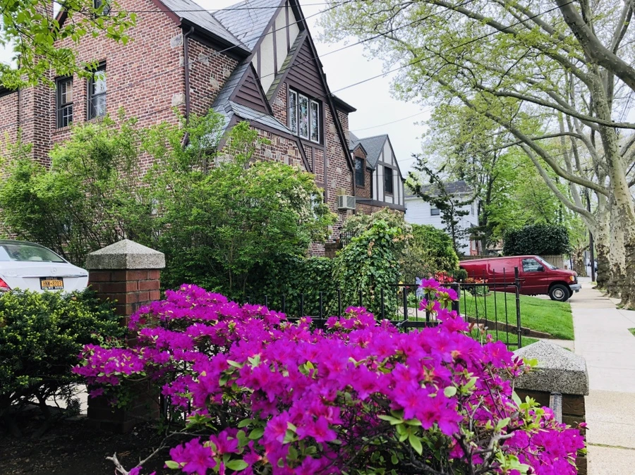 IMG_4067.jpg?type=w966