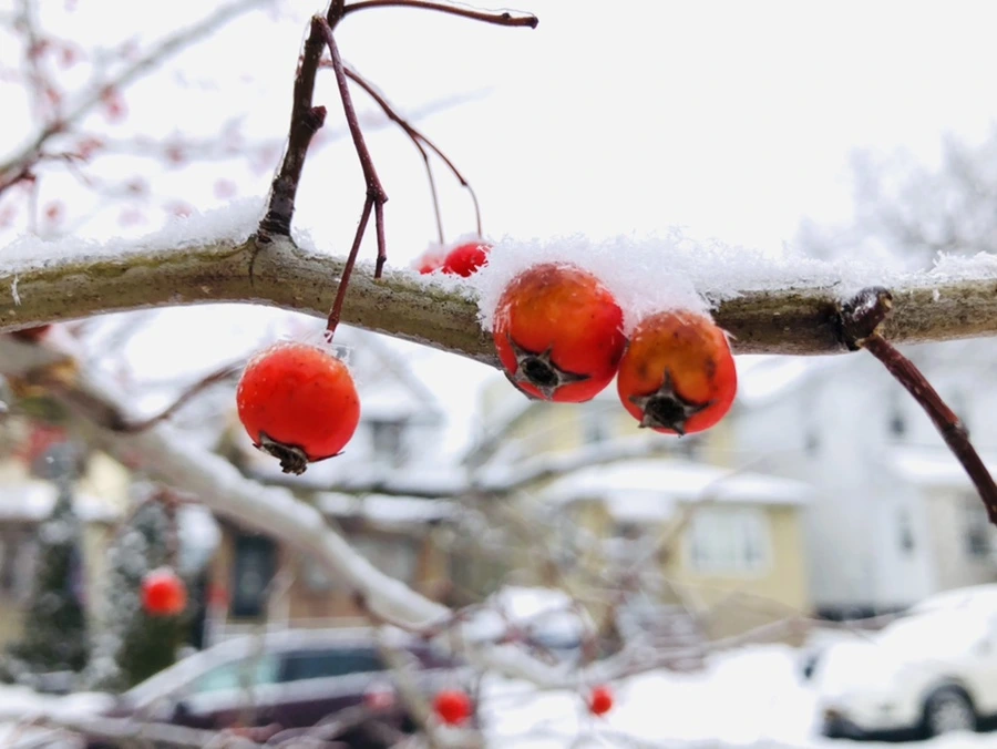 IMG_3480.jpg?type=w966