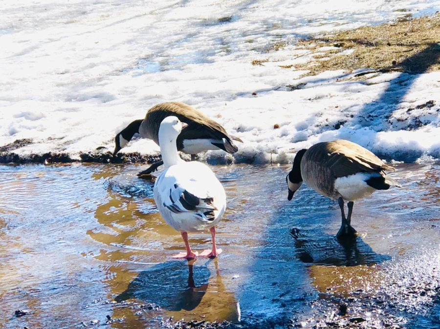 IMG_4542.jpg?type=w966