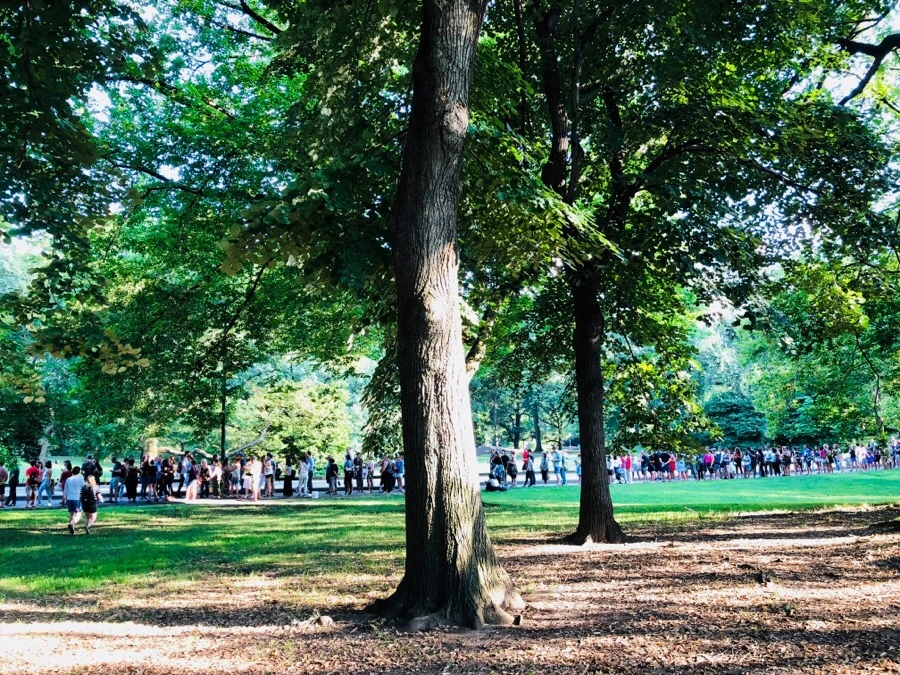 IMG_1084.jpg?type=w966