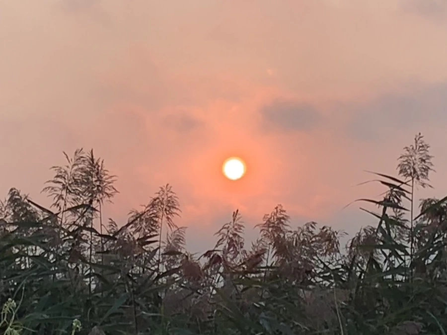 IMG_1153.jpg?type=w966