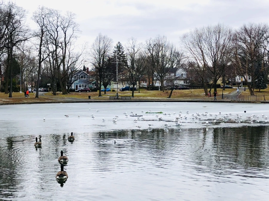 IMG_6423.jpg?type=w966