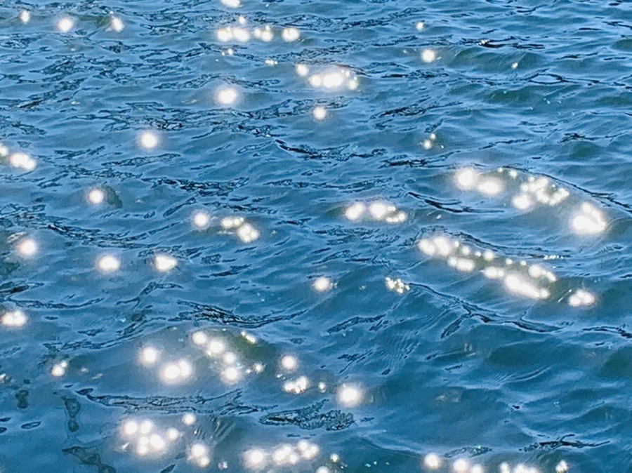 IMG_7544.jpg?type=w966