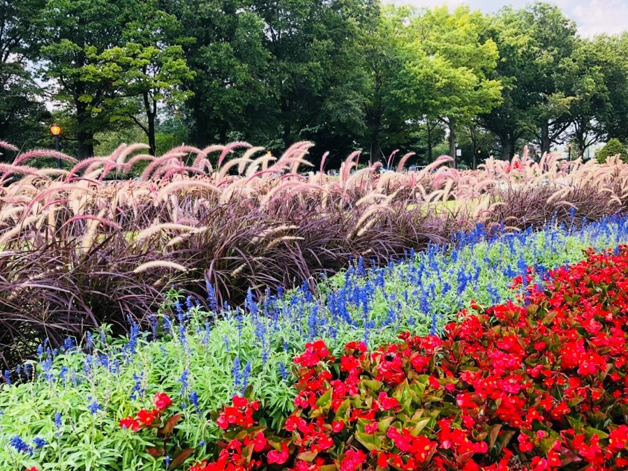 IMG_4142.jpg?type=w966