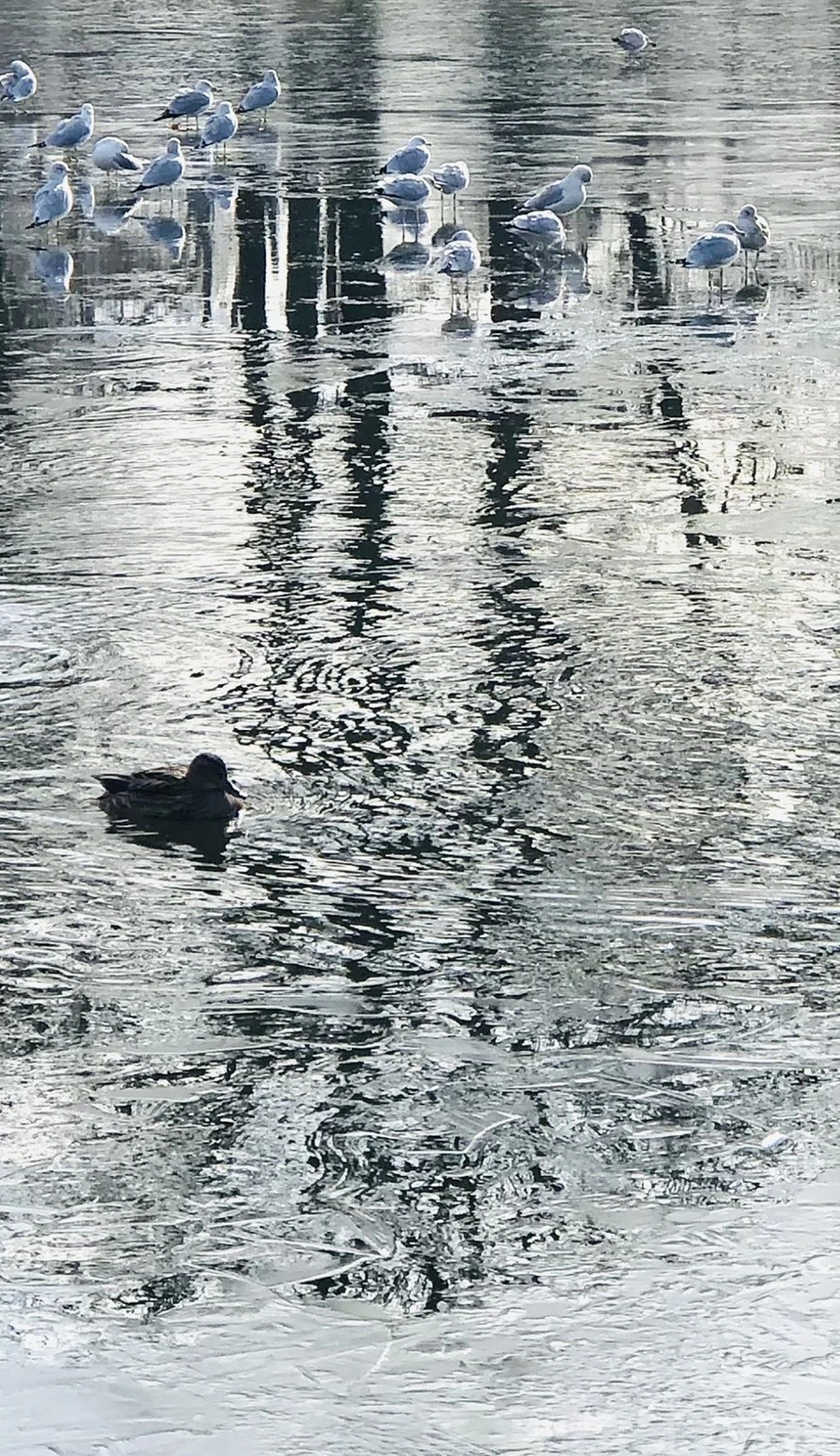 HOVejPcHxZwfPF2MMA2lr35-YtY