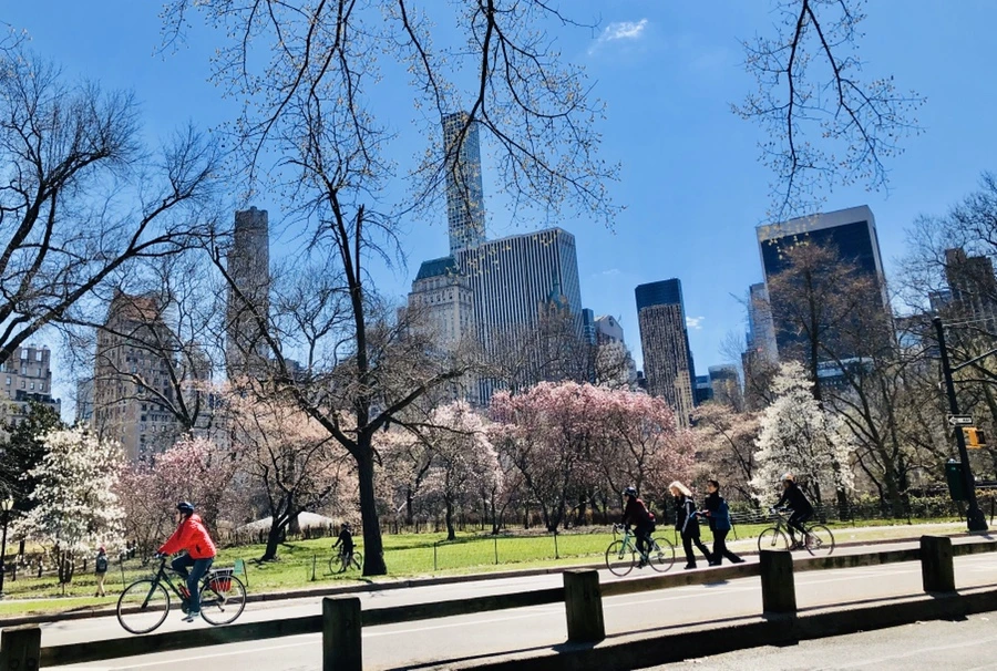 IMG_6643.jpg?type=w966