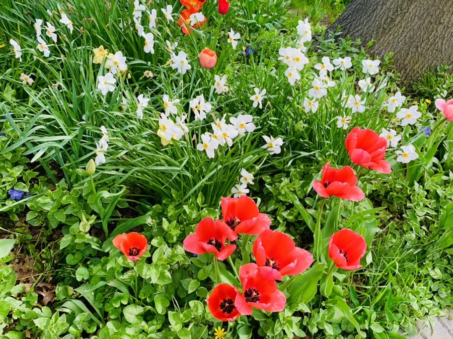 IMG_6948.jpg?type=w966