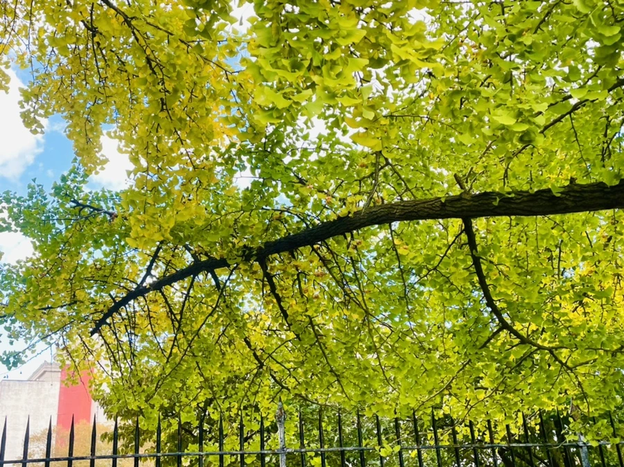 IMG_0139.jpg?type=w966