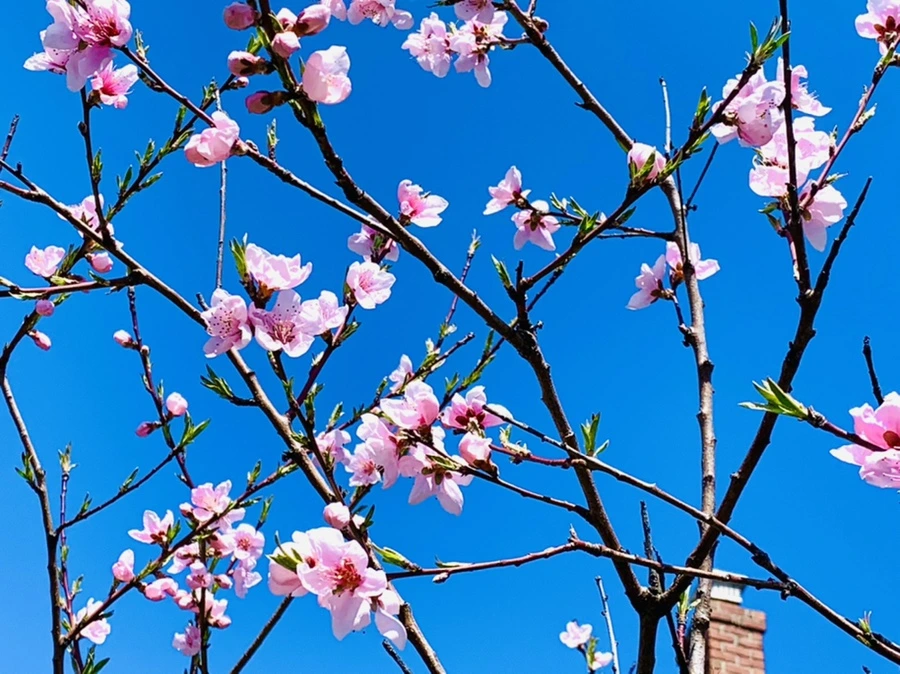 IMG_7773.jpg?type=w966