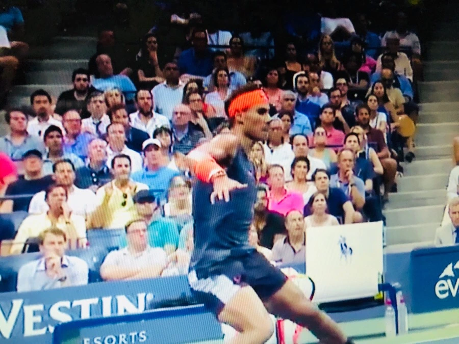 IMG_4014.jpg?type=w966